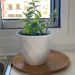 Menta House